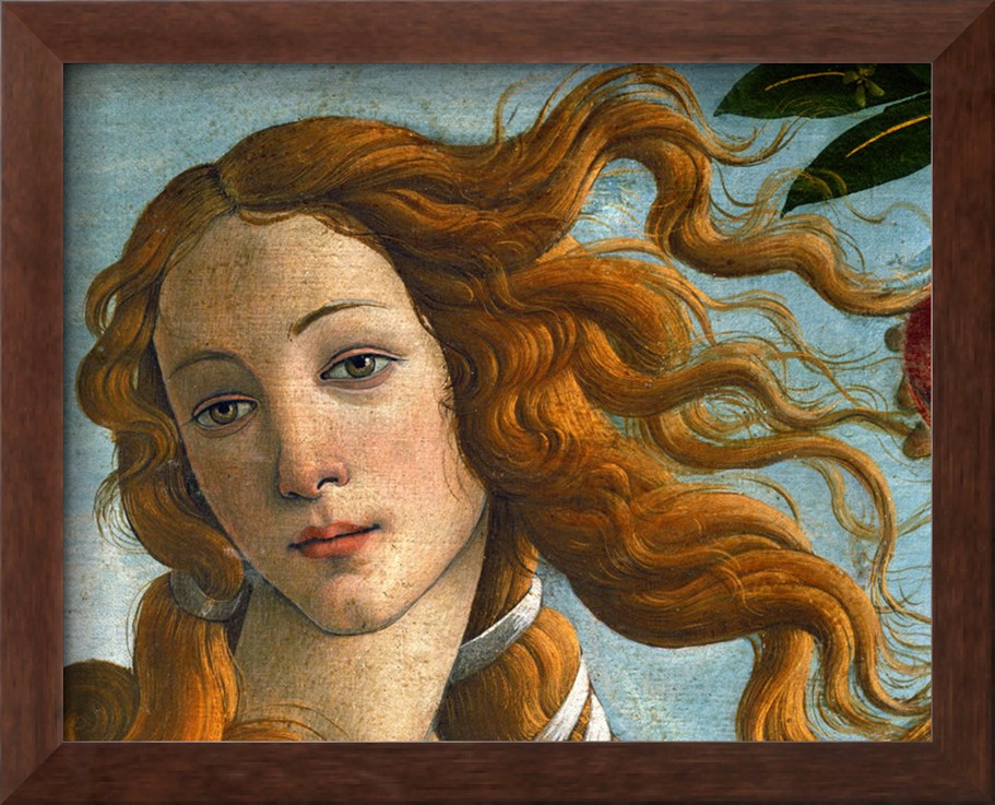Head Of Venus 1486 By Sandro Botticelli